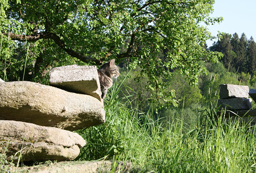 Schärdinger Granit